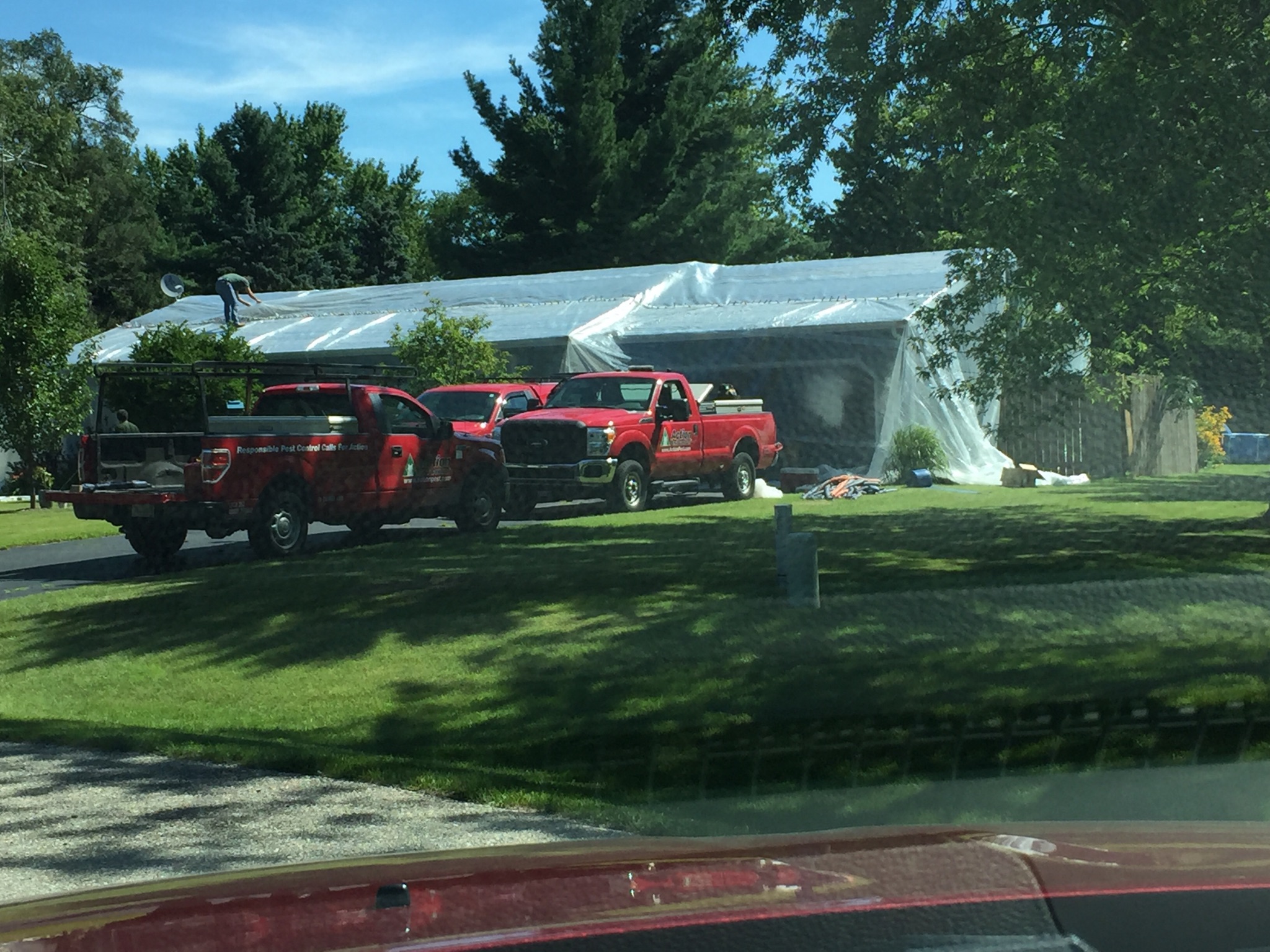 tecumseh lenawee county 2011 brown recluse house fumigation